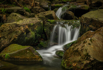 Fototapeta na wymiar Plomnica creek near Karpacz town in spring soon morning