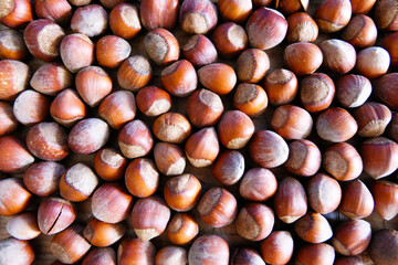 top shot hazelnut background. Top view Hazelnuts. Selective focus