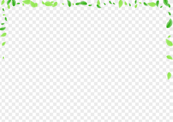 Light Green Greenery Background Transparent Vector. Vegetation Cover Frame. Park Texture. Green Wind Design. Plant Flying.