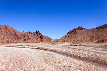 Bolivian canyon near Tupiza,Bolivia