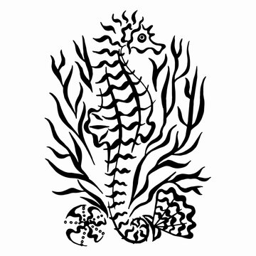 Pattern with coral seashells and seahorse. Underwater wildlife. linear drawing. Black and white drawing of a seahorse in coral.