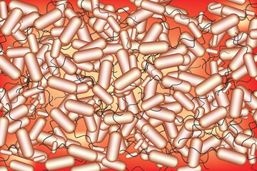 bacillus bacterial colony