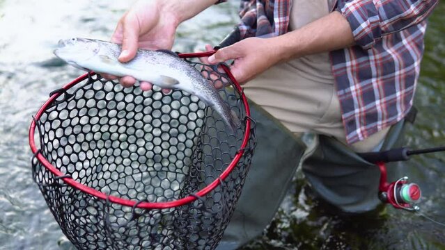 Man holds fish that was just caught in river and puts it in the fishnet. Fly fishing