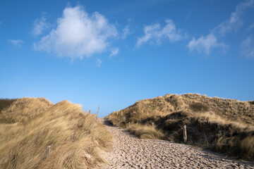 Sand dunes of Sylt, North Frisia, Germany