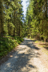 Wonderful mountain trekking route in South Tyrol. Beautiful natural landscapes.