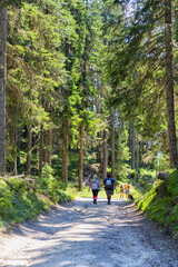 Wonderful mountain trekking route in South Tyrol. Beautiful natural landscapes.