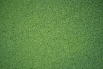 Green grass and top view. Top view of natural grass. Green lawn texture background.
