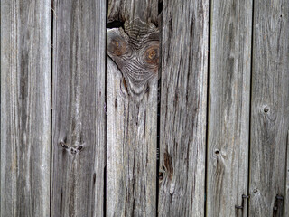 Holzstruktur