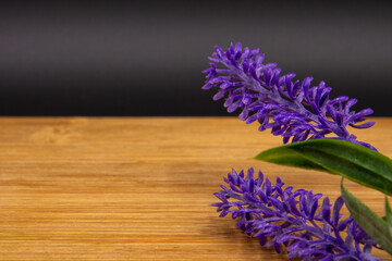 purple lavanda plant with stem on wood board with black background