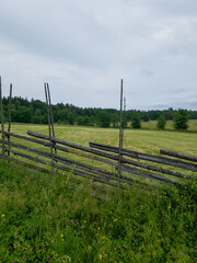 landscape with fence