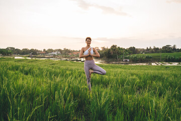 Carefree woman with perfect body figure practicing yoga during summer vacations for recreation in Indonesia, happy female standing in tree namaste pose spending morning at rice fields of Bali