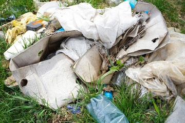 A pile of rubbish in a clearing in the countryside on a spring day. Close-up. Concept of ecology.