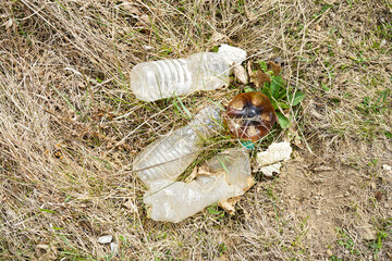 Obraz premium A pile of rubbish in a clearing in the countryside on a spring day. Plastic bottles. Concept of ecology.