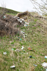 A pile of rubbish in a clearing in the countryside on a spring day. Vertically.