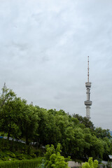 construction of a TV tower among trees and sky