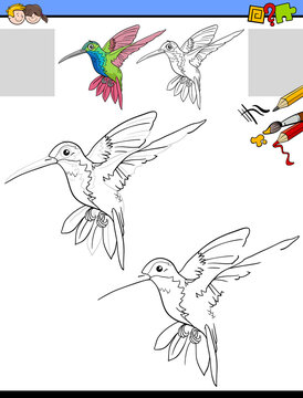 drawing and coloring task with hummingbird character