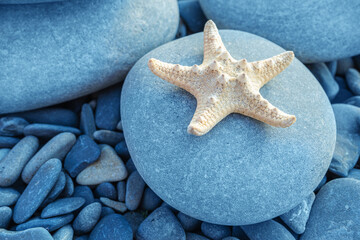 Fototapeta na wymiar Small starfish on large gray stone against background of small pebbles near seashore.