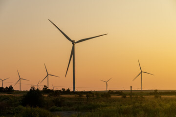 Ecological windmills in large green field against background of rising solar sky in yellow and...