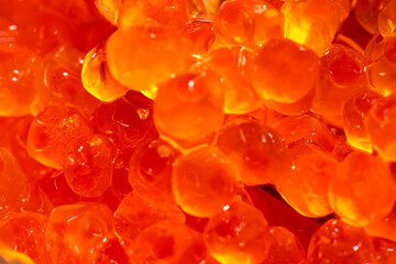 Red expensive and delicious caviar that shimmers in orange color close-up. Red caviar close-up.