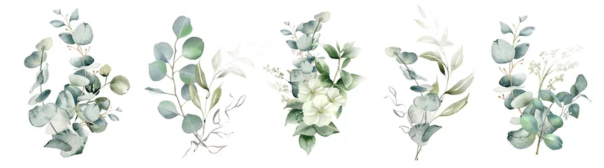 Fotobehang Watercolor eucalyptus flower arrangement. Greenery branches and jasmine flowers clipart. Foliage bouquet for wedding, stationery, invitations, cards. Illustration isolated on white background © Nataliya Kunitsyna