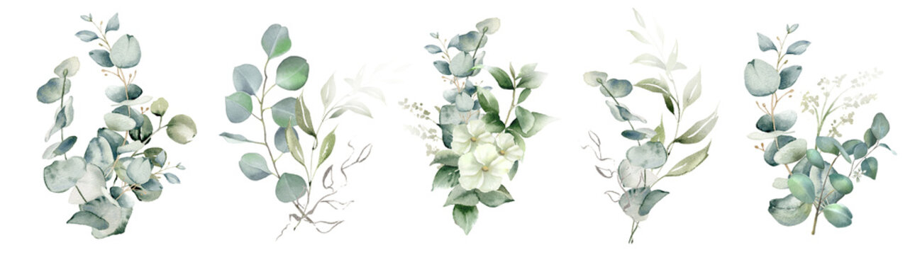 Watercolor eucalyptus flower arrangement. Greenery branches and jasmine flowers clipart. Foliage bouquet for wedding, stationery, invitations, cards. Illustration isolated on white background