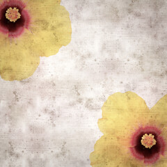square stylish old textured paper background with yellow Hibiscus flower