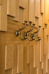 wall hooks clothes hangers on wooden wall