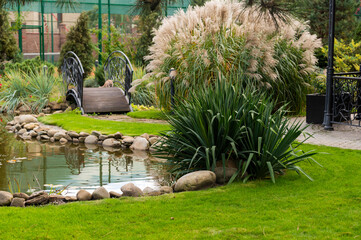 Plants for a garden pond in landscape design