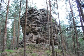 Sandstone rocks amid a coniferous forest. © TK_Office