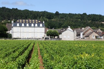Fototapeta na wymiar Chateau de la Maltroye in Chassagne-Montrachet, Burgundy, France