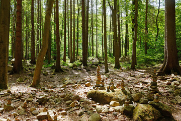 Fototapeta premium Ilsetal im Harz Wald mit gestapelten Steinen