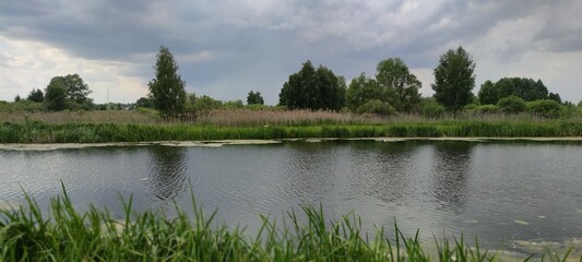 Green field with tall grass and trees on a blue lake. Countryside wonderful place, landscape of nature. Photo for wallpaper and commerce