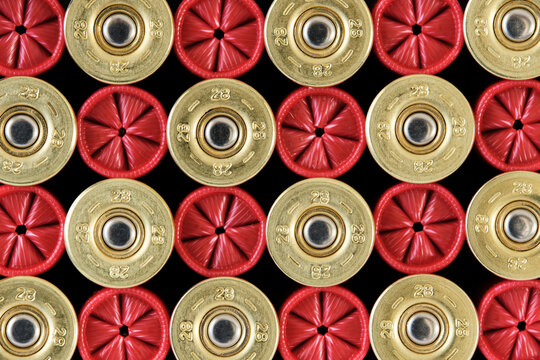 Composition of many shotgun cartridges