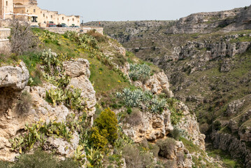 Fototapeta na wymiar View over the canyon of Matera in Southern Italy