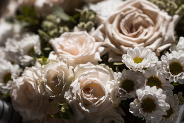 A beautiful bouquet of beige, cream roses and white chrysanthemums. Background floral image of pastel colors. Natural, environmentally friendly natural background. A copy of the place for the text.