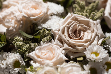 A beautiful bouquet of beige, cream roses and white chrysanthemums. Background floral image of pastel colors. Natural, environmentally friendly natural background. A copy of the place for the text.