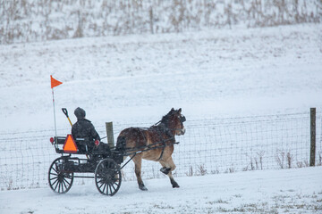Amish boy riding a pony cart beside a fence in the snow | Holmes County, Ohio