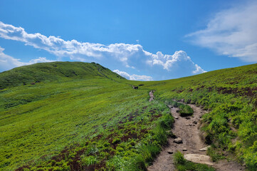 Góry Bieszczady w Europie, Polska.