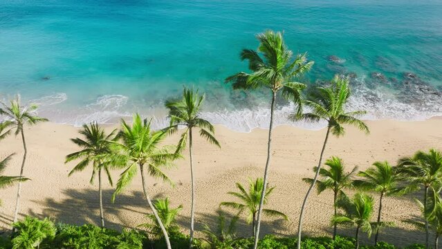 Summer travel copy background. Beautiful aerial beach view with cinematic green palms trees slowly swaying on ocean breeze. Scenic empty golden sandy beach with amazing teal blue turquoise soft waves