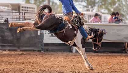 Cowboy On Bucking Bronc In Rodeo