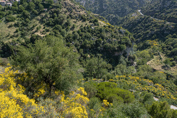 Nature landscape around Dimitsana, a mountain village, built like an amphitheatre, surrounded by mountain tops and pine forests, Arcadia region, Peloponnes, Greece