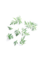 Top view of fresh organic fresh dill from the garden isolated on a white background from above