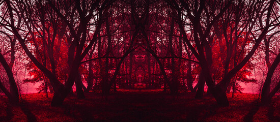 Stranger forest in a fog. Fairy Mysterious Forest. Mystical atmosphere. Paranormal another world....