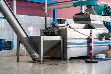 Process of cleaning olives for first extraction of olive oil, in large production machine at...