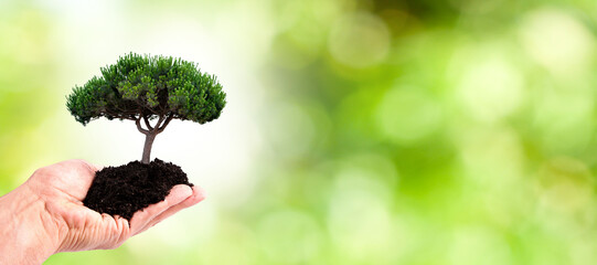 hand with tree on green background, ecology and sustainability