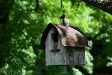 bird house on a tree