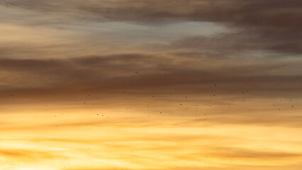 sunset in the clouds