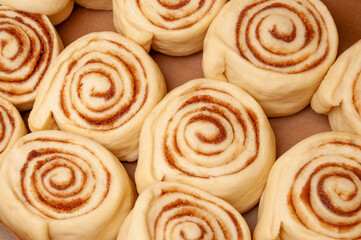 Obraz na płótnie Canvas Blanks of cinnamon rolls dough are on greased parchment paper.