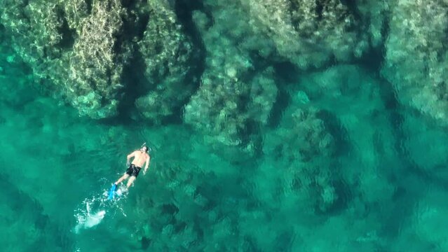Strong athletic man enjoying outdoors underwater activity on Hawaii. Beautiful aerial shot of male guy snorkeling in mask and flippers above scenic coral reef with cinematic clear blue turquoise water