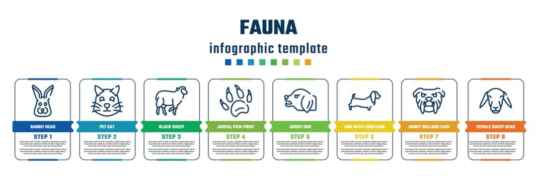 fauna concept infographic design template. included rabbit head, pet cat, black sheep, animal paw print, angry dog, dog with long ears, angry bulldog face, female sheep head icons and 8 steps or